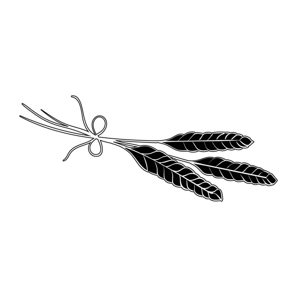 a black and white drawing of a plant with leaves vector