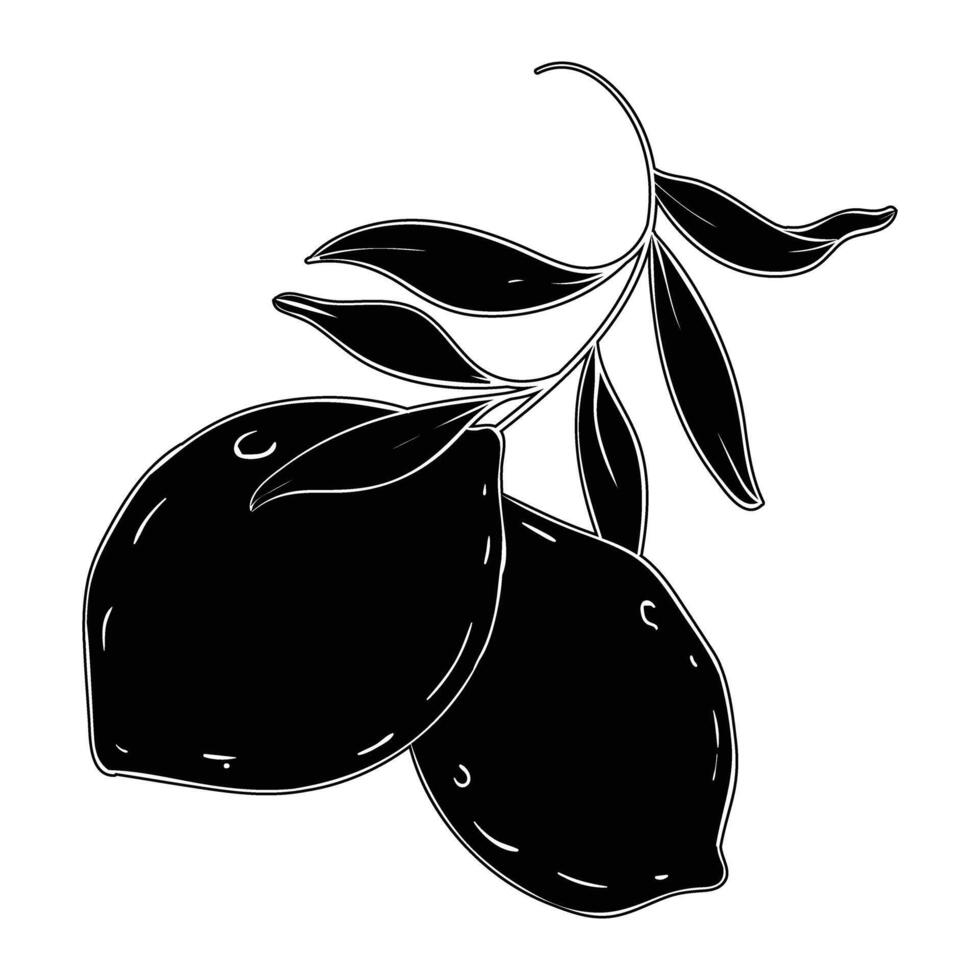 black and white illustration of a lemon vector