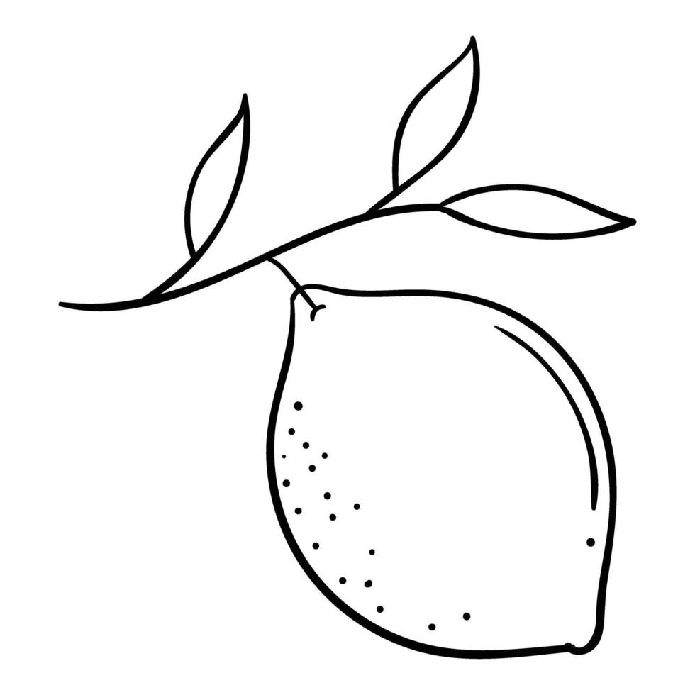 lemon fruit illustration vector