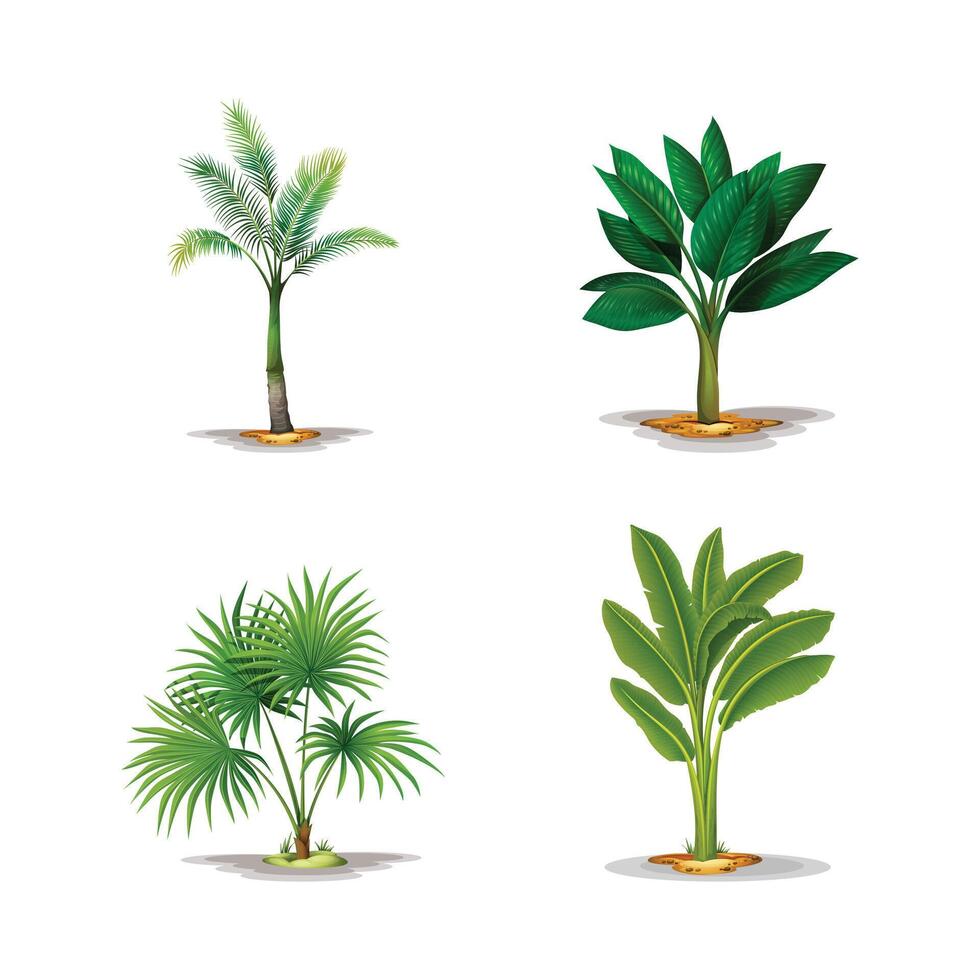 tree set isolated on white background vector