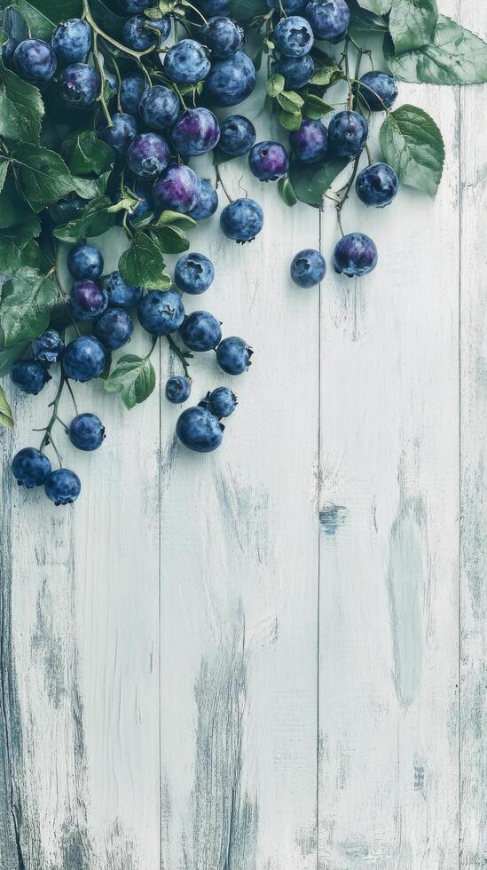 Blueberries on a rustic wooden surface with a light blue background photo