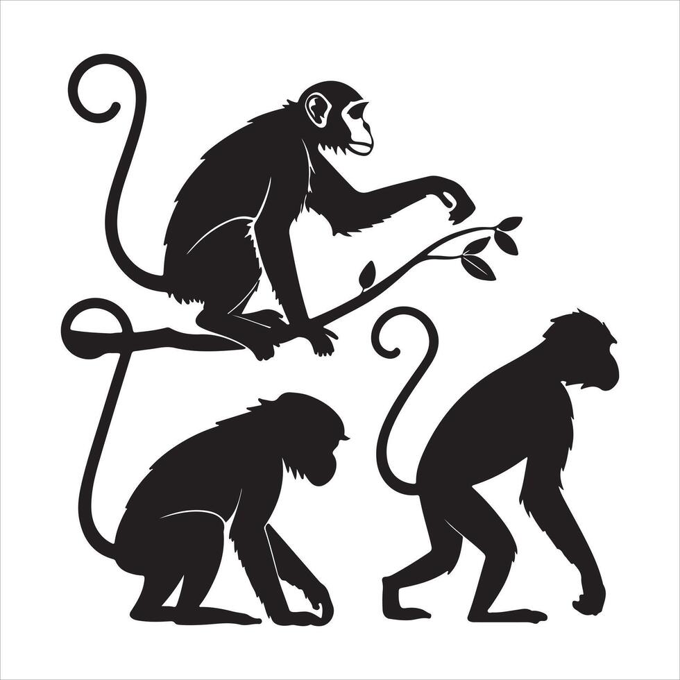 Editable Monkey Silhouette Design on White Background vector