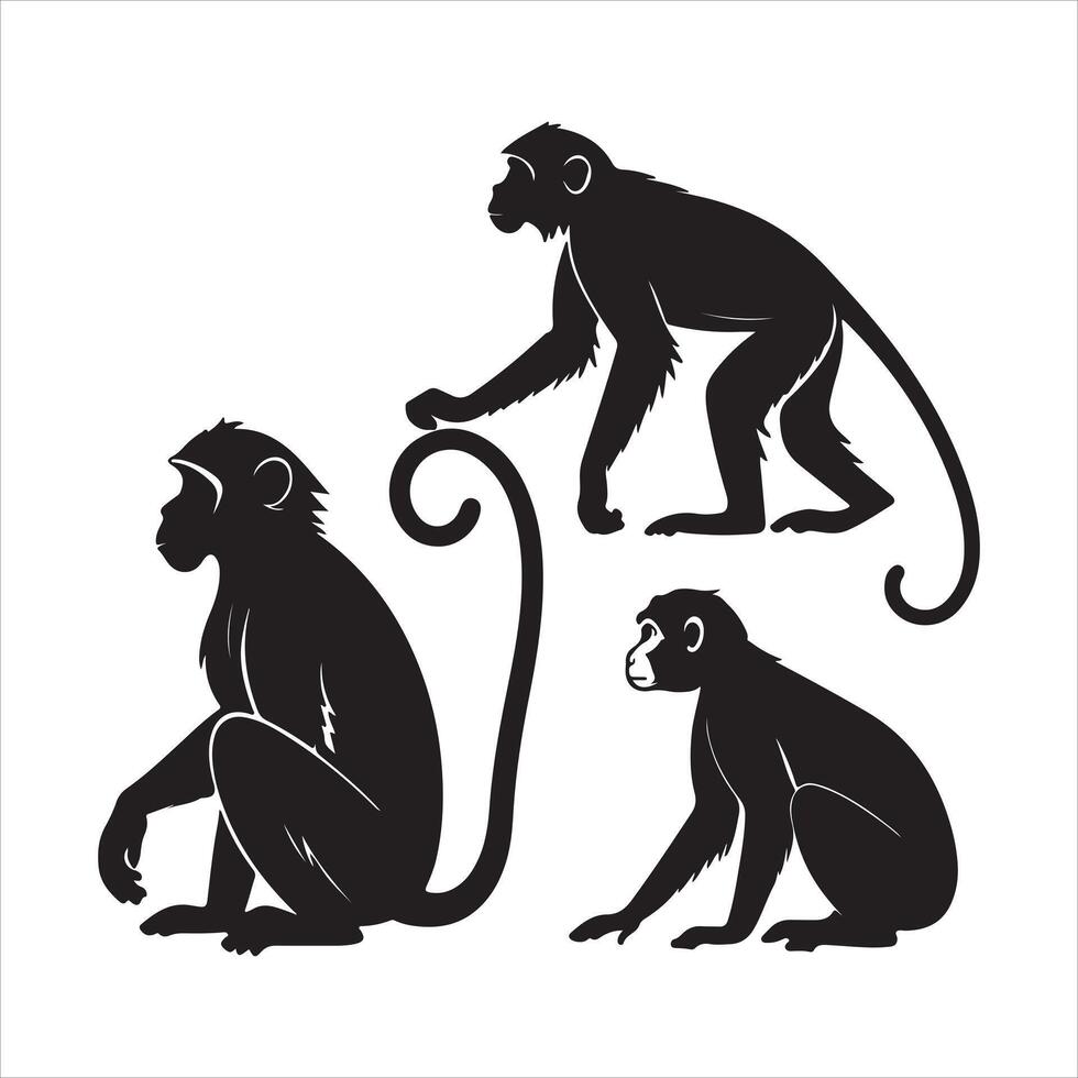 Monkey Silhouette Illustration in EPS 10 Format vector