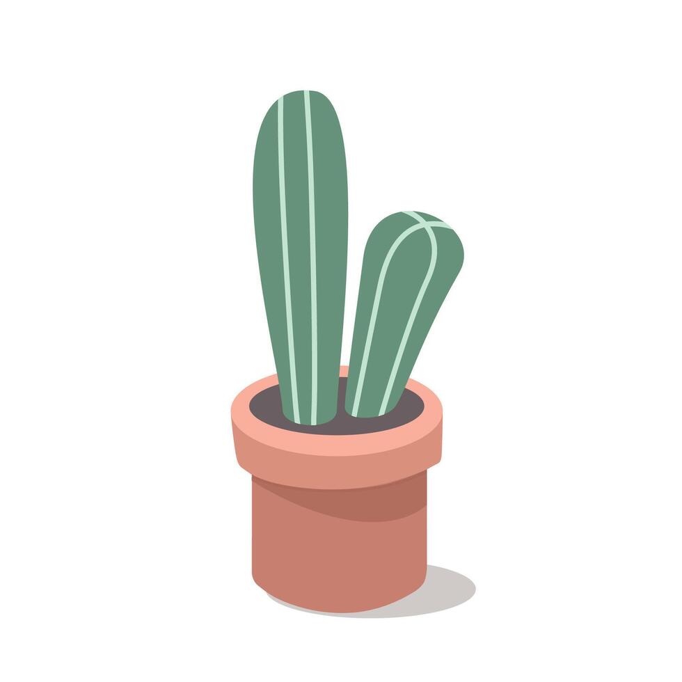 Mini cactus. Cacti decorative. Spike. Thorn. Succulent. Cacti illustration. vector
