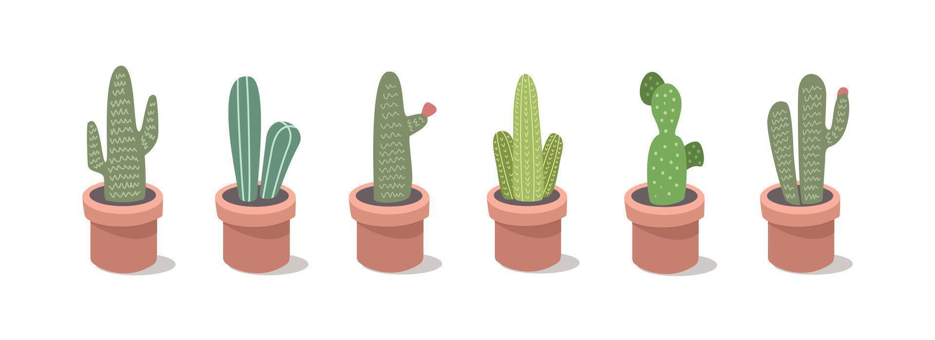 Collection of cactus. Set of cactus. Cactus in different model. Cactus plant. Succulent. Cacti. Botany. Flowerpot. House plant. Cactaceae. Desert plant. Dessert flower. vector