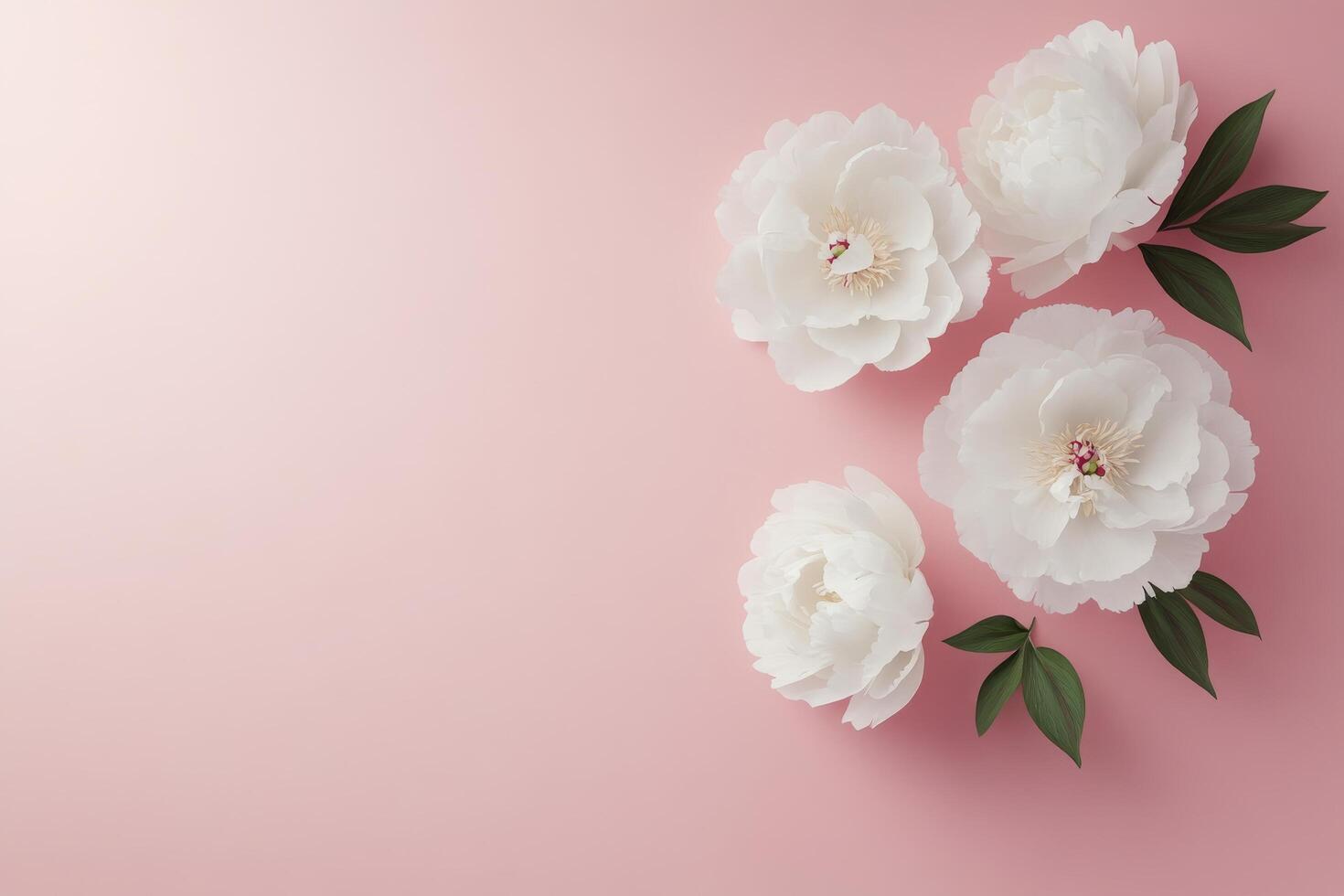 Elegant white flowers arranged against a soft pink background in a minimalist style photo