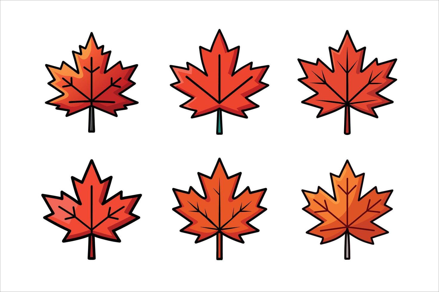 Maple Leaves for Autumn Design vector