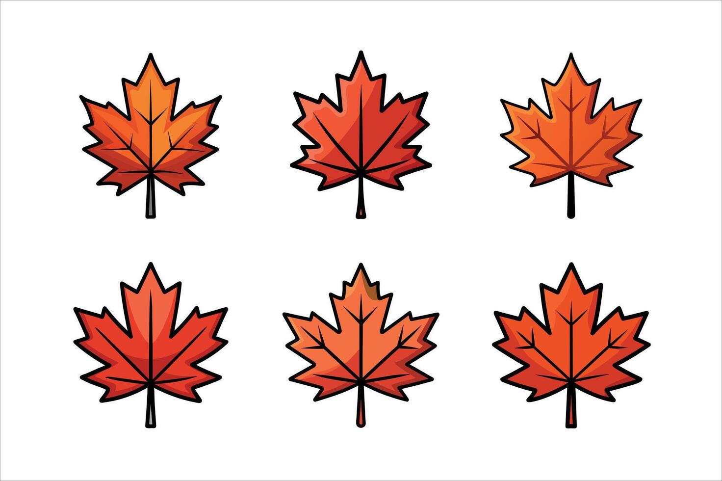Maple Leaves for Autumn Design on a white background vector