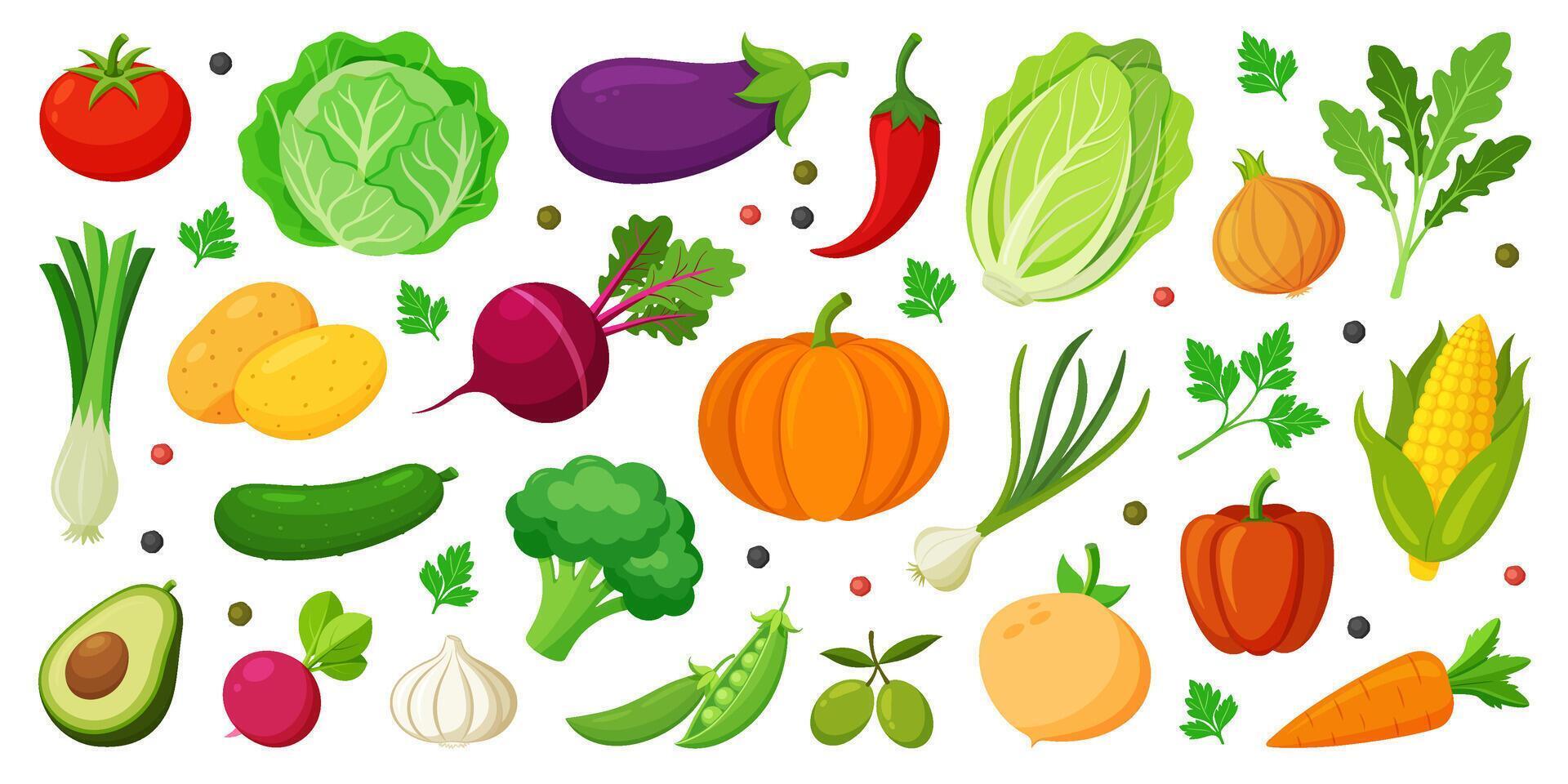 Colorful vegetables and salad icon set. Modern Hand drawn Trendy flat style. Organic vegetarian food. Tomato onion eggplant leek potatoes corn pepper beet cucumber. flat illustration vector