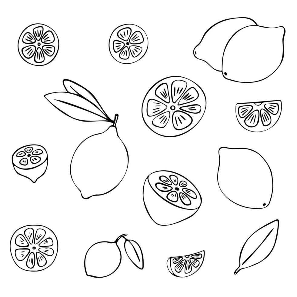 Lemon fruit doodle set. Half, whole, slices, leaves. Black hand-drawn contour isolated on a white background. Suitable for menus, coloring pages books, web design, prints, cups, mugs, kitchen design vector