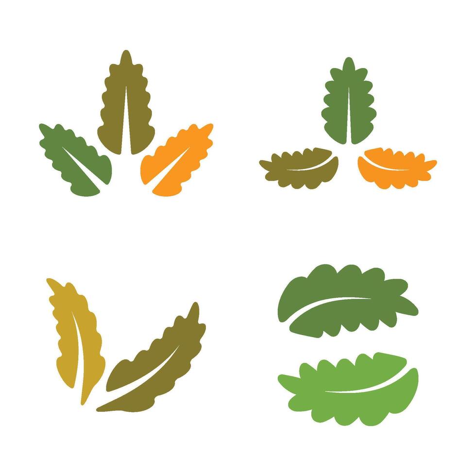 Oak Leaf Logo Template Icon vector