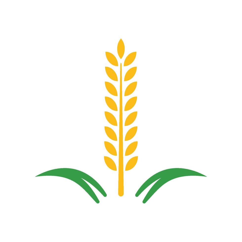 Paddy Logo Template Icon vector