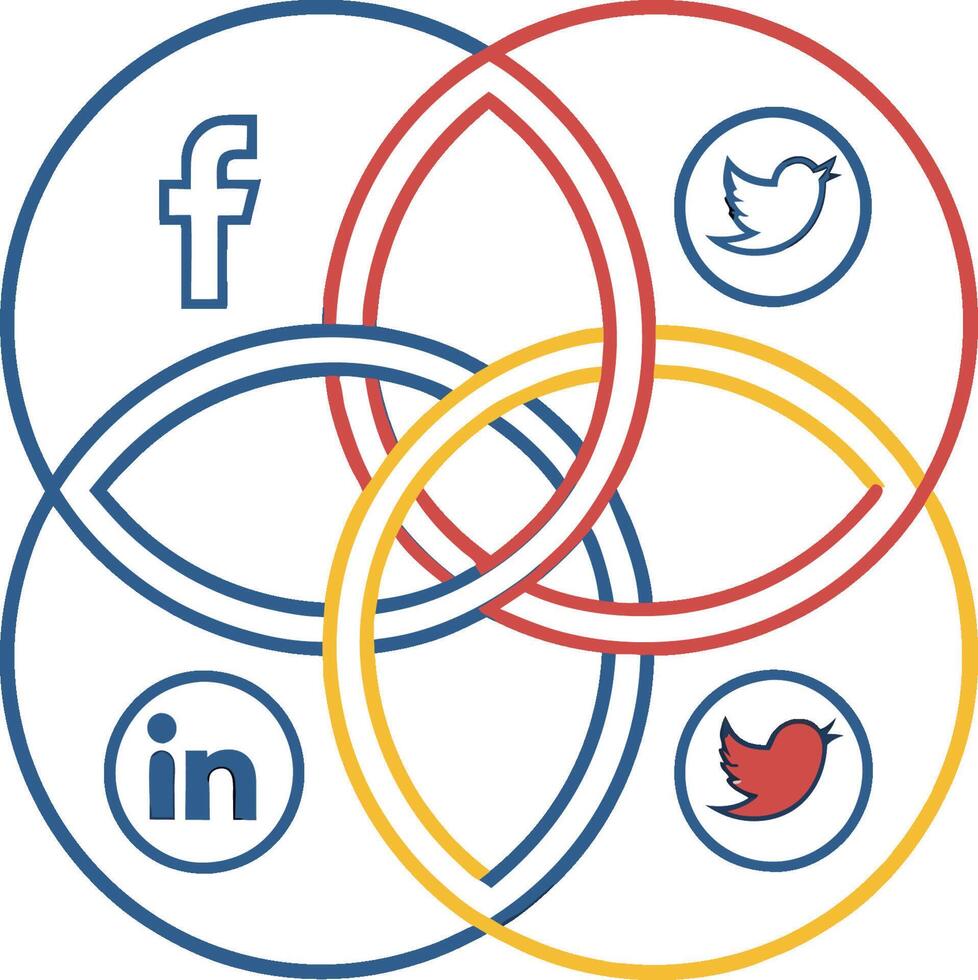 The social media venn diagram vector