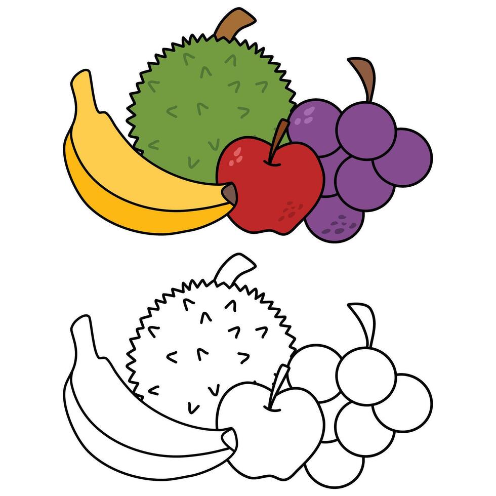 fruits doodle style hand drawn sketched food vector