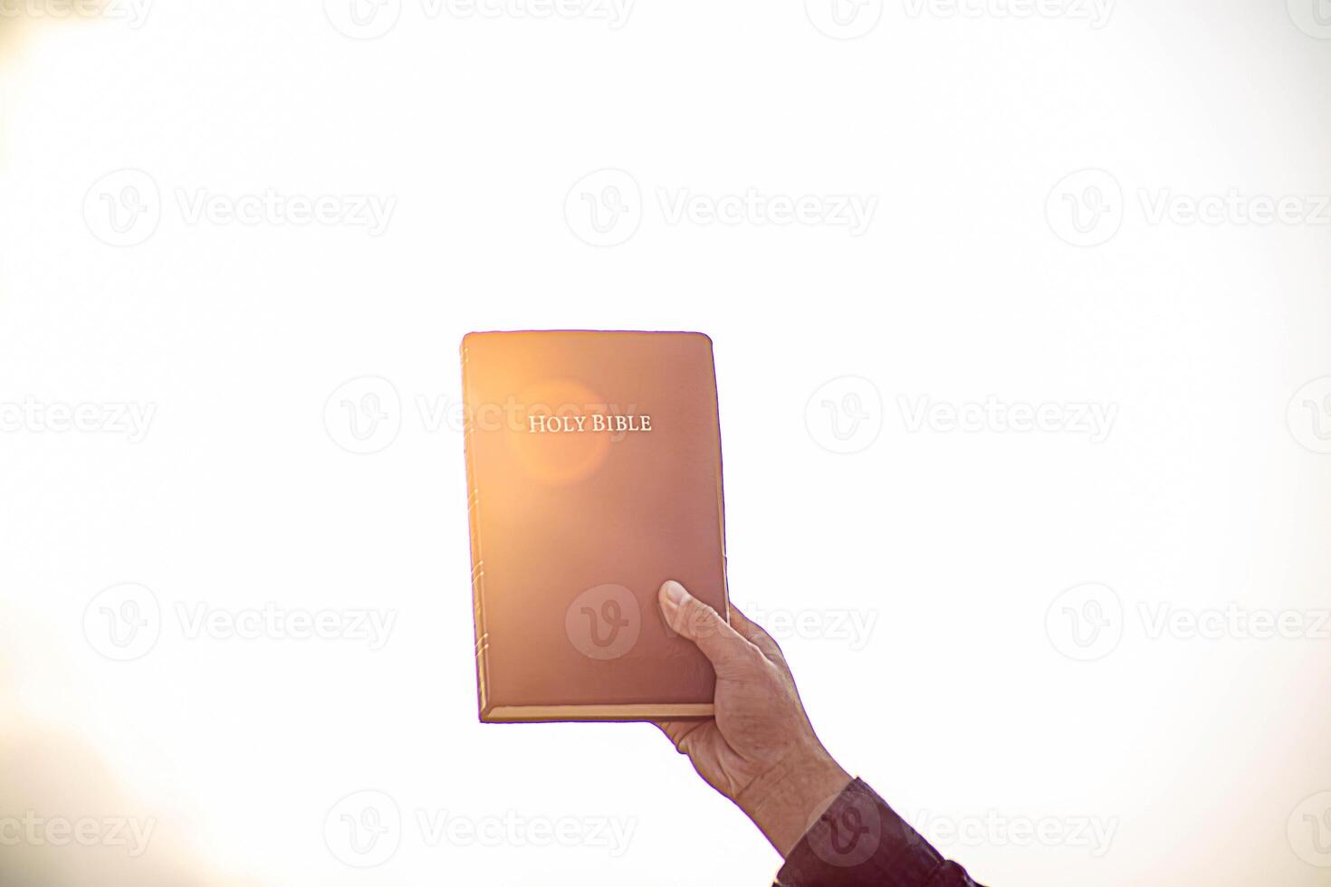 Person holding a Bible in the air photo
