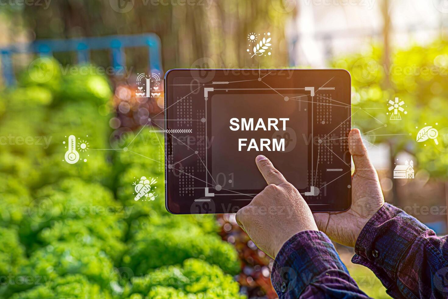 Female farmer inspecting her smart farm grain field. technology and send data to the cloud from the tablet. in the analysis and control of plant quality in the soil smart digital agriculture photo