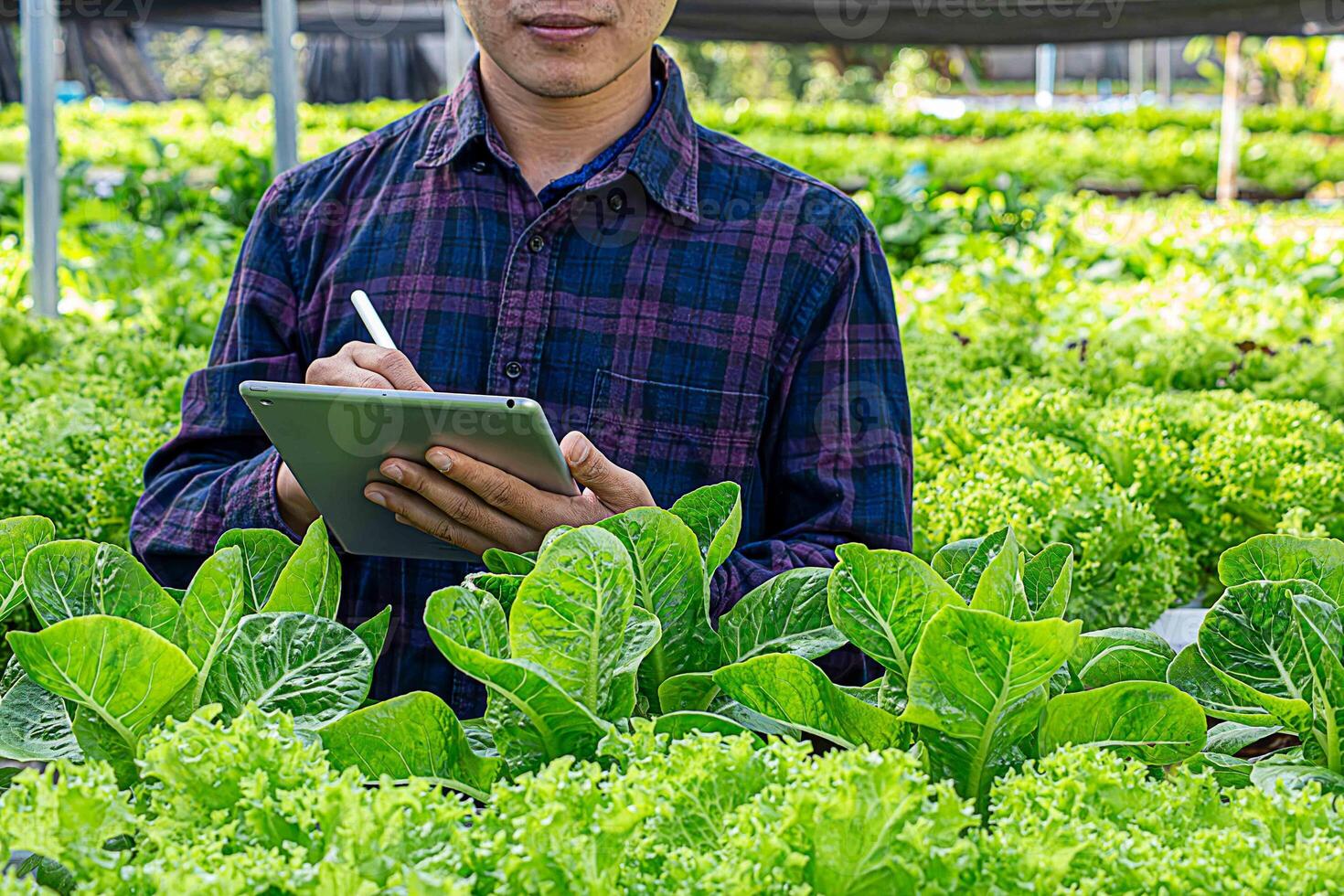 Smart farming and farm technology concept. Smart young asian farmer man using tablet to check quality and quantity of organic hydroponic vegetable garden at greenhouse in morning. photo