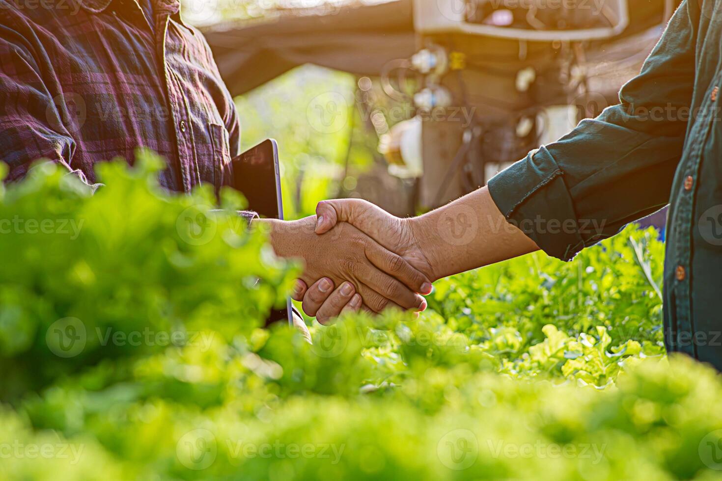 Handshaking between farmers and customers for business partners. Farmer working hydroponic vegetable garden at greenhouse. photo
