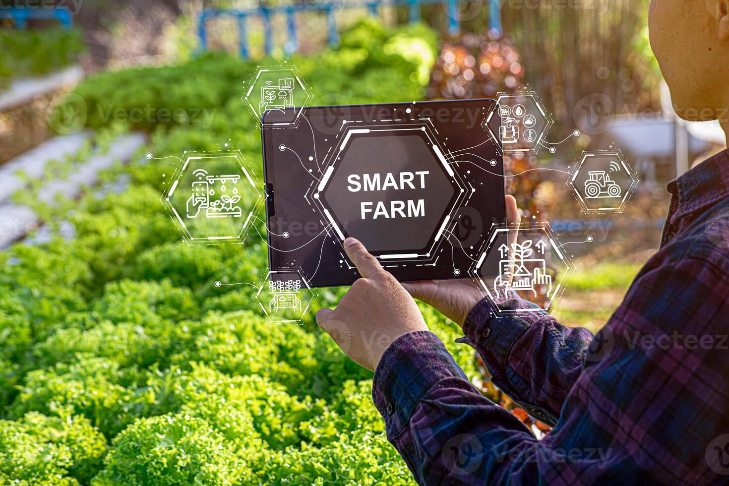 Female farmer inspecting her smart farm grain field. technology and send data to the cloud from the tablet. in the analysis and control of plant quality in the soil smart digital agriculture photo