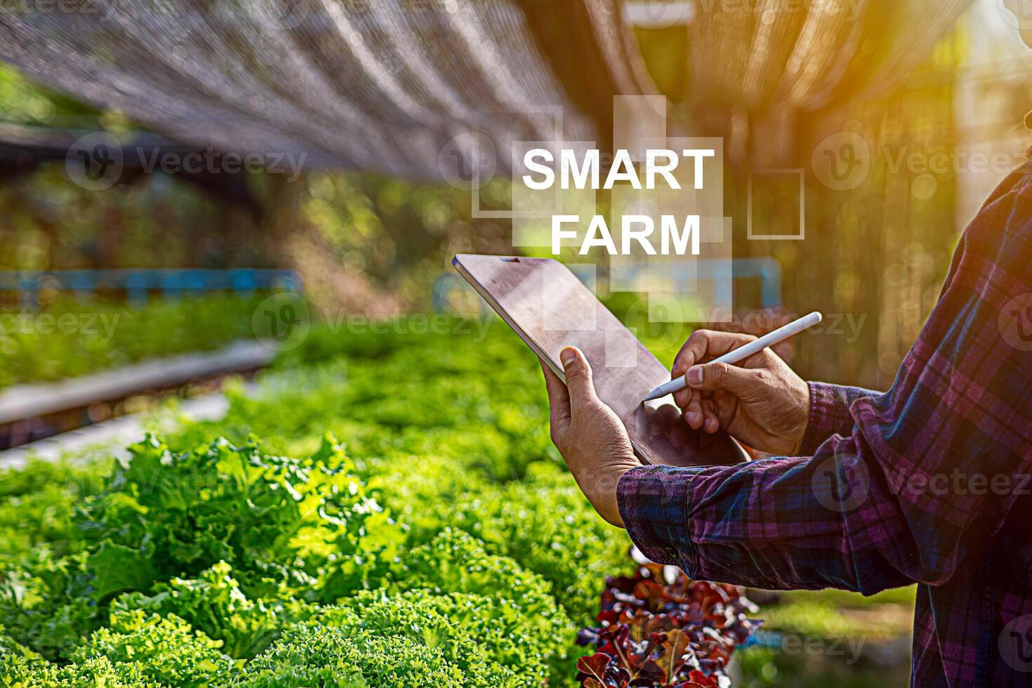 Smart farmer using application by smartphone concepts modern agricultural technology and visual icon.Smart farming photo