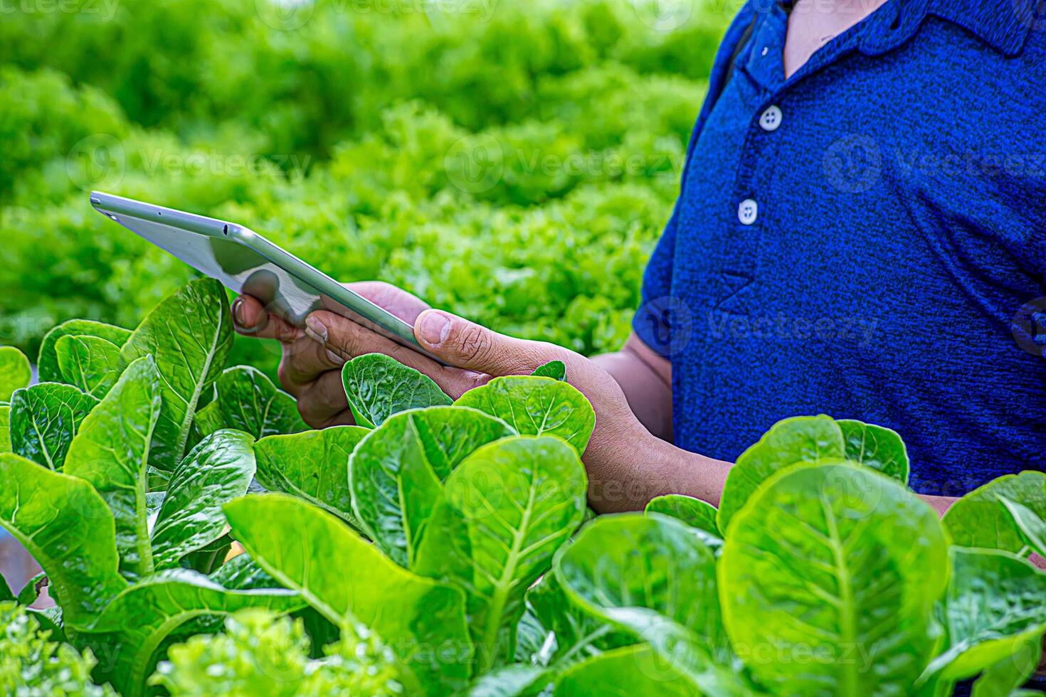 Smart farming and farm technology concept. Smart young asian farmer man using tablet to check quality and quantity of organic hydroponic vegetable garden at greenhouse in morning. photo