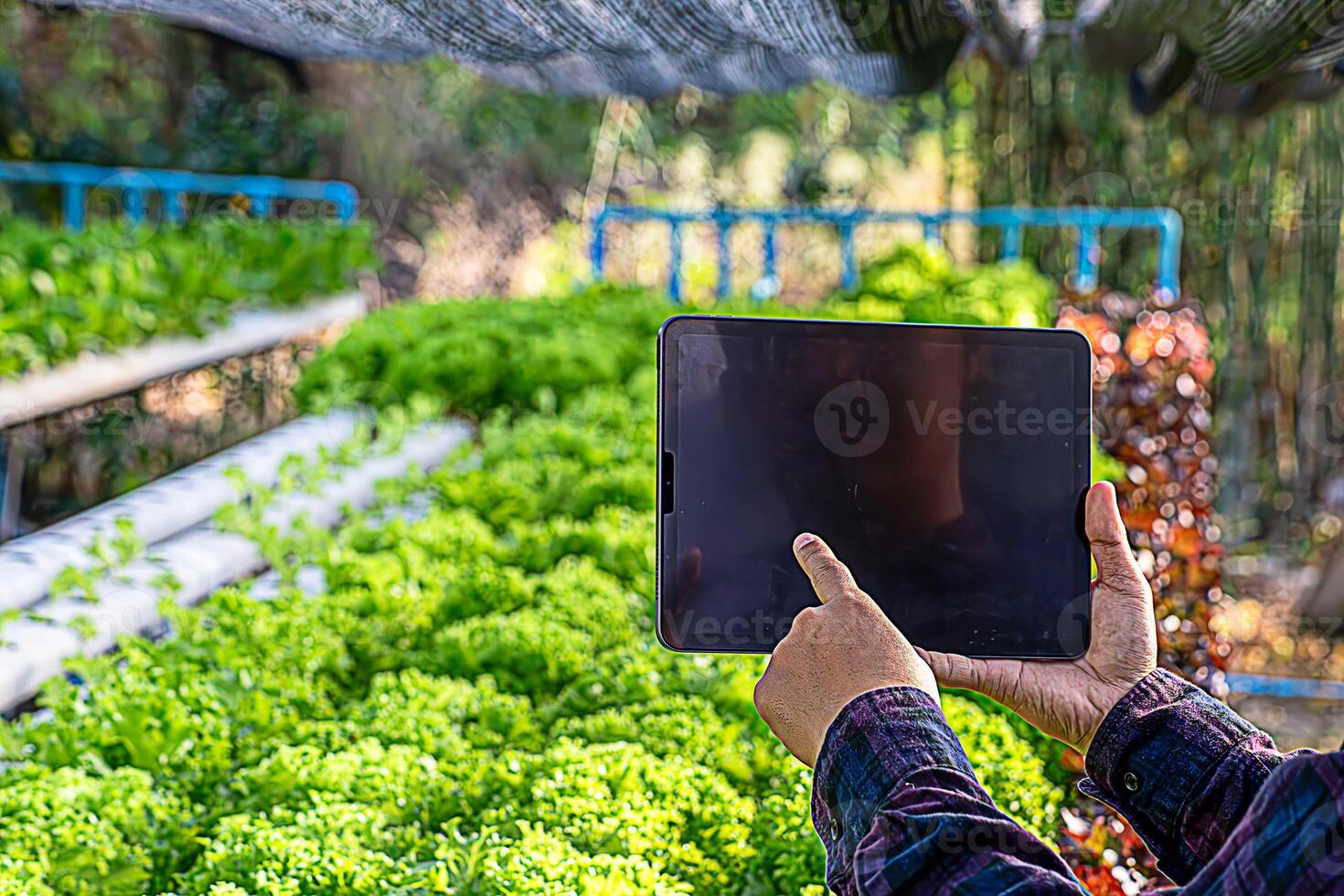 Smart farming and farm technology concept. Smart young asian farmer man using tablet to check quality and quantity of organic hydroponic vegetable garden at greenhouse in morning. photo