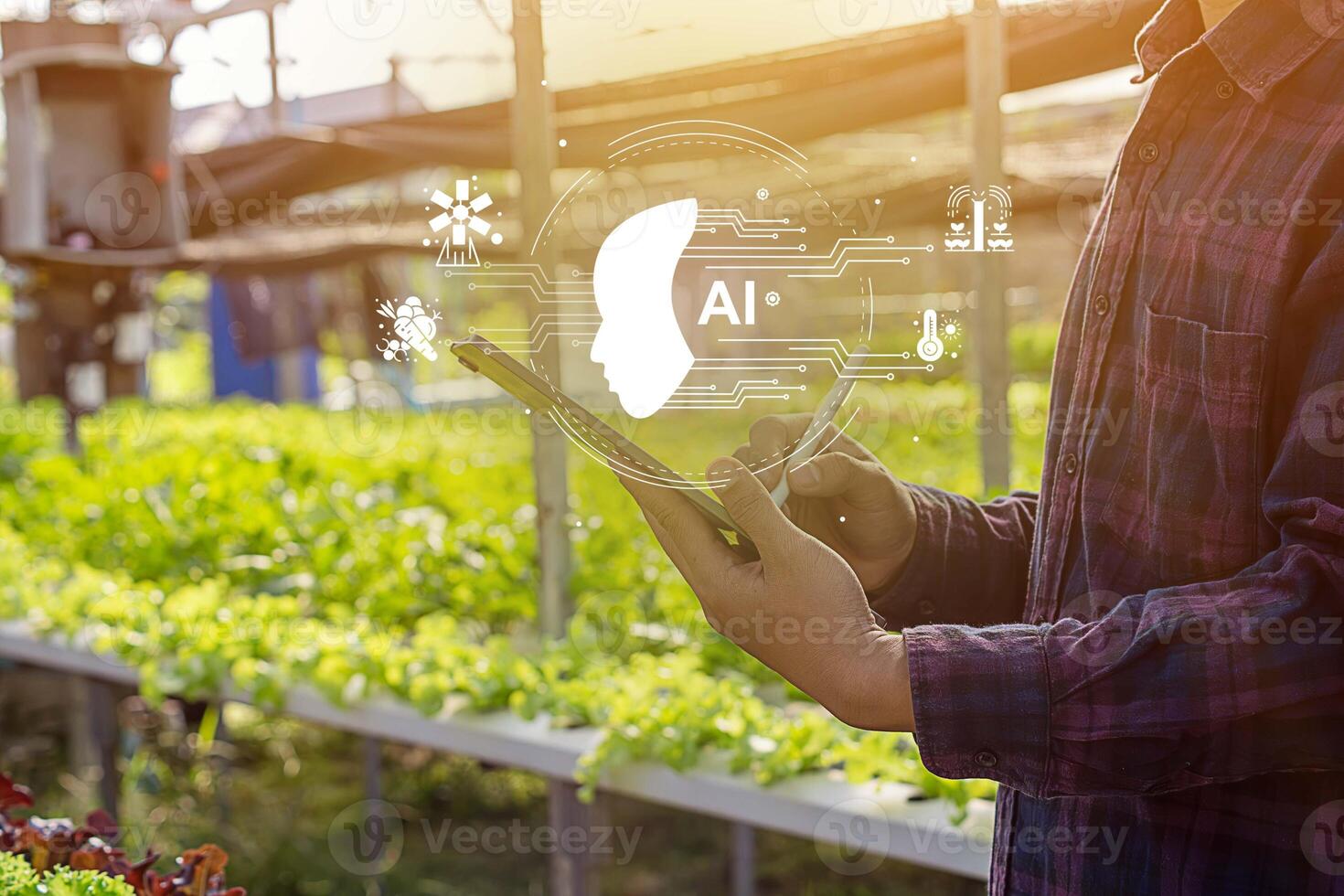 Smart farmer using tablet iot technology analyzing plant health such as water soil moisture photo