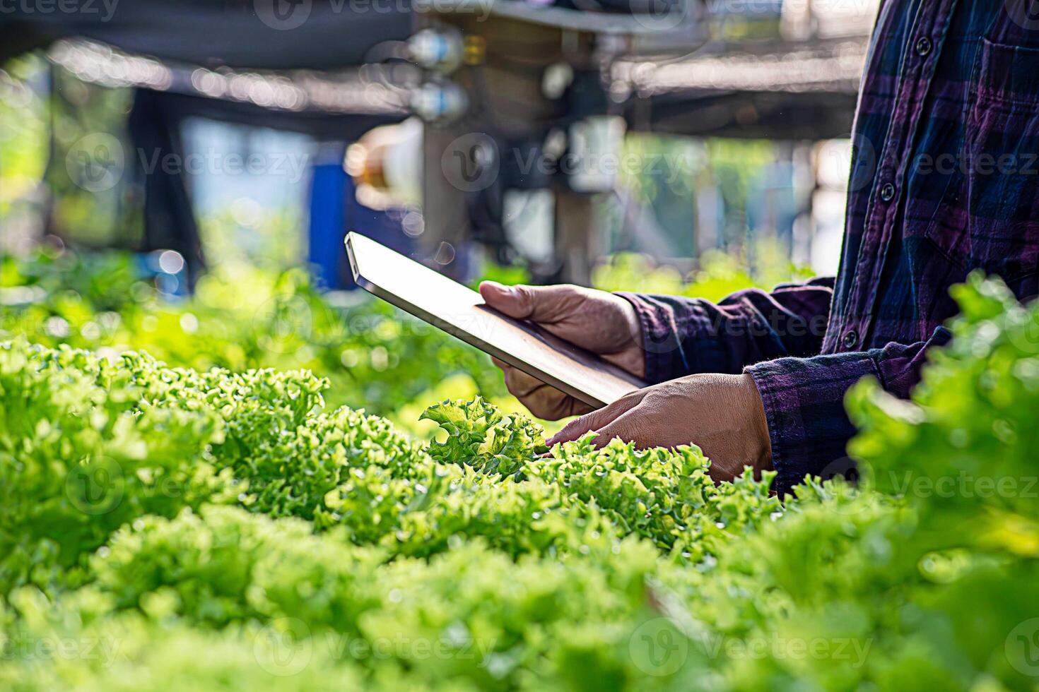 a person is using a tablet in a field photo