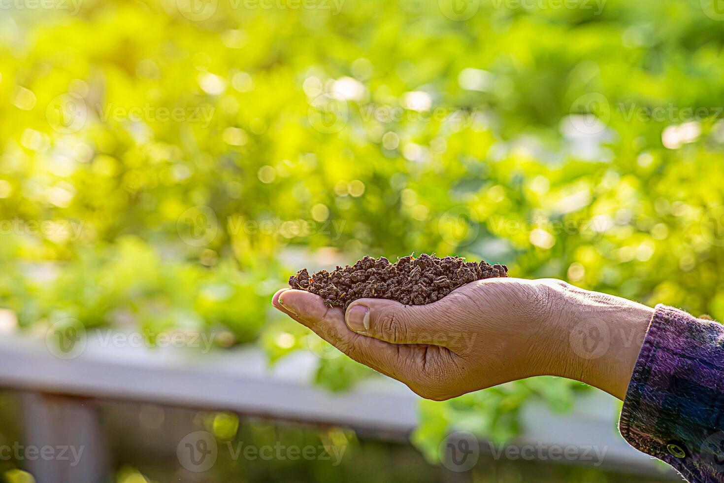 Human hands hold the brown soil in the palms of the close-up and space for copying. Concept - protect the environment and gardening photo