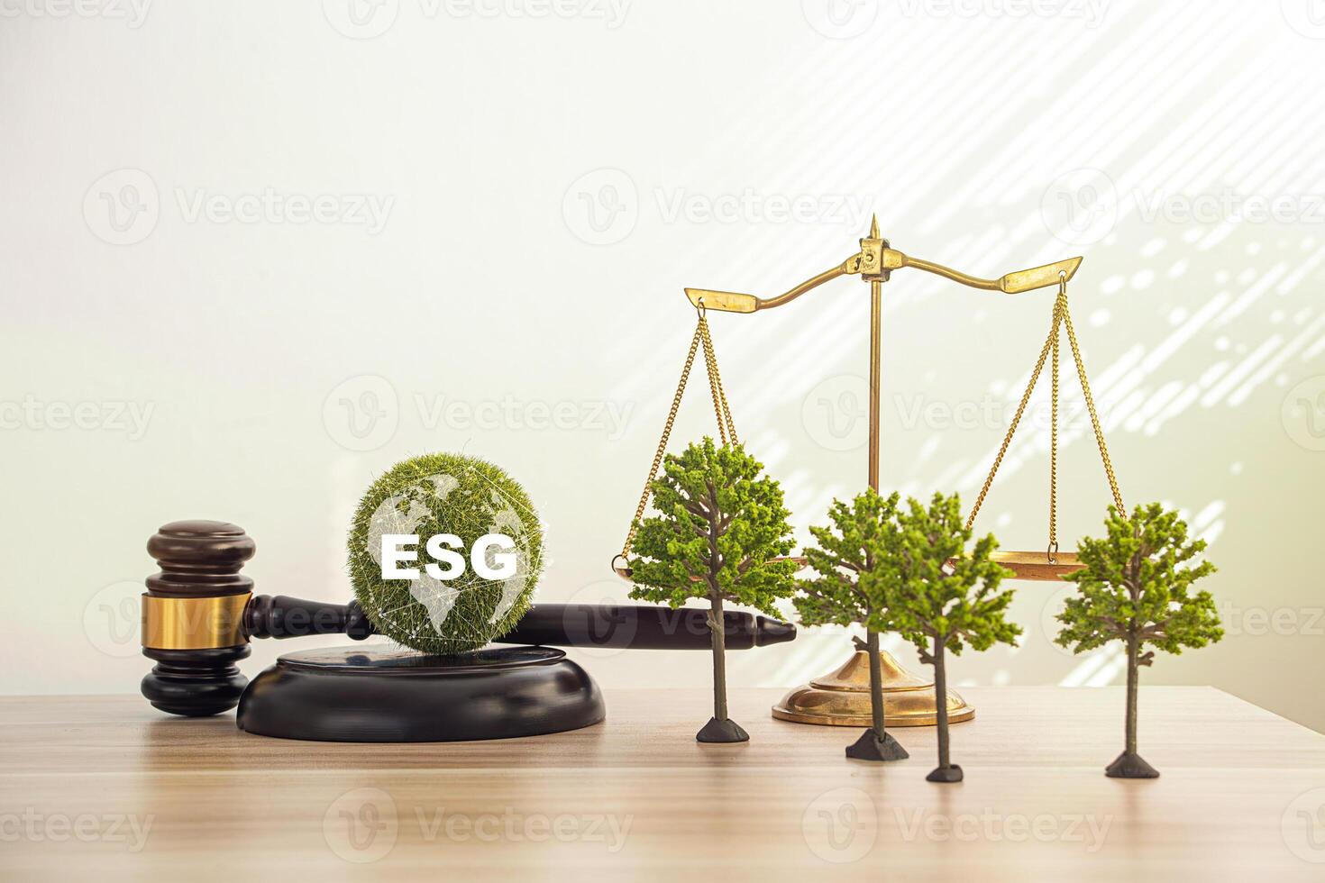 law net zero Environment Law. lawmaker and lawyer signed draft photo