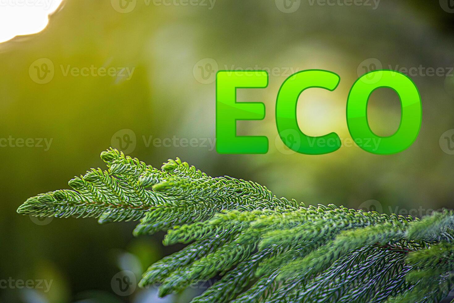 Word ECO on blurred green background. Bokeh effect photo