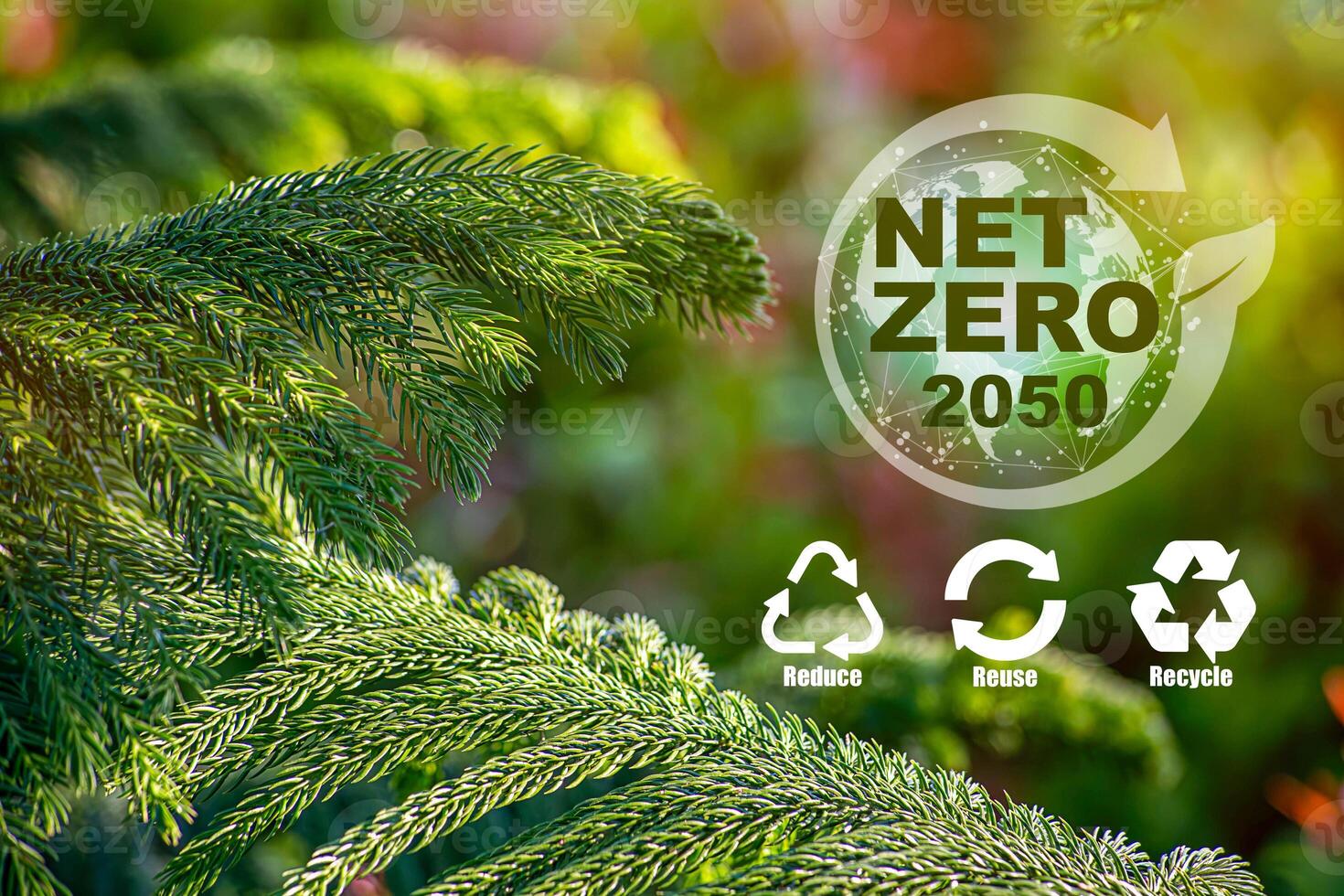 concept of carbon neutral and net zero emissions. photo