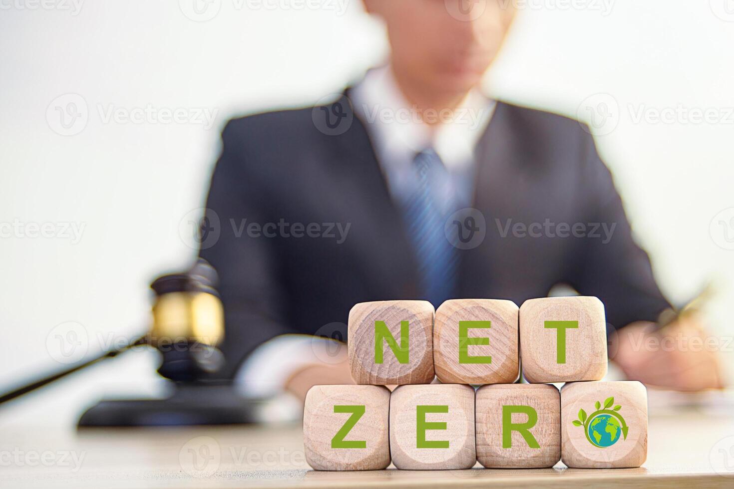 law net zero law maker and lawyer making environmental protection photo
