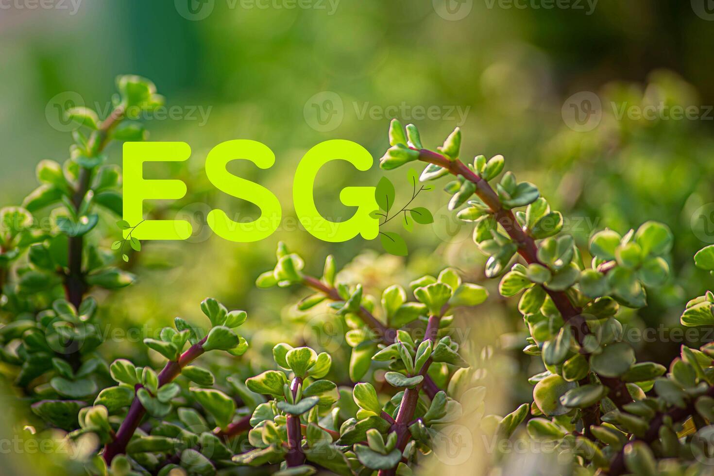 ESG icon concept on tcrystal globe for environmental photo