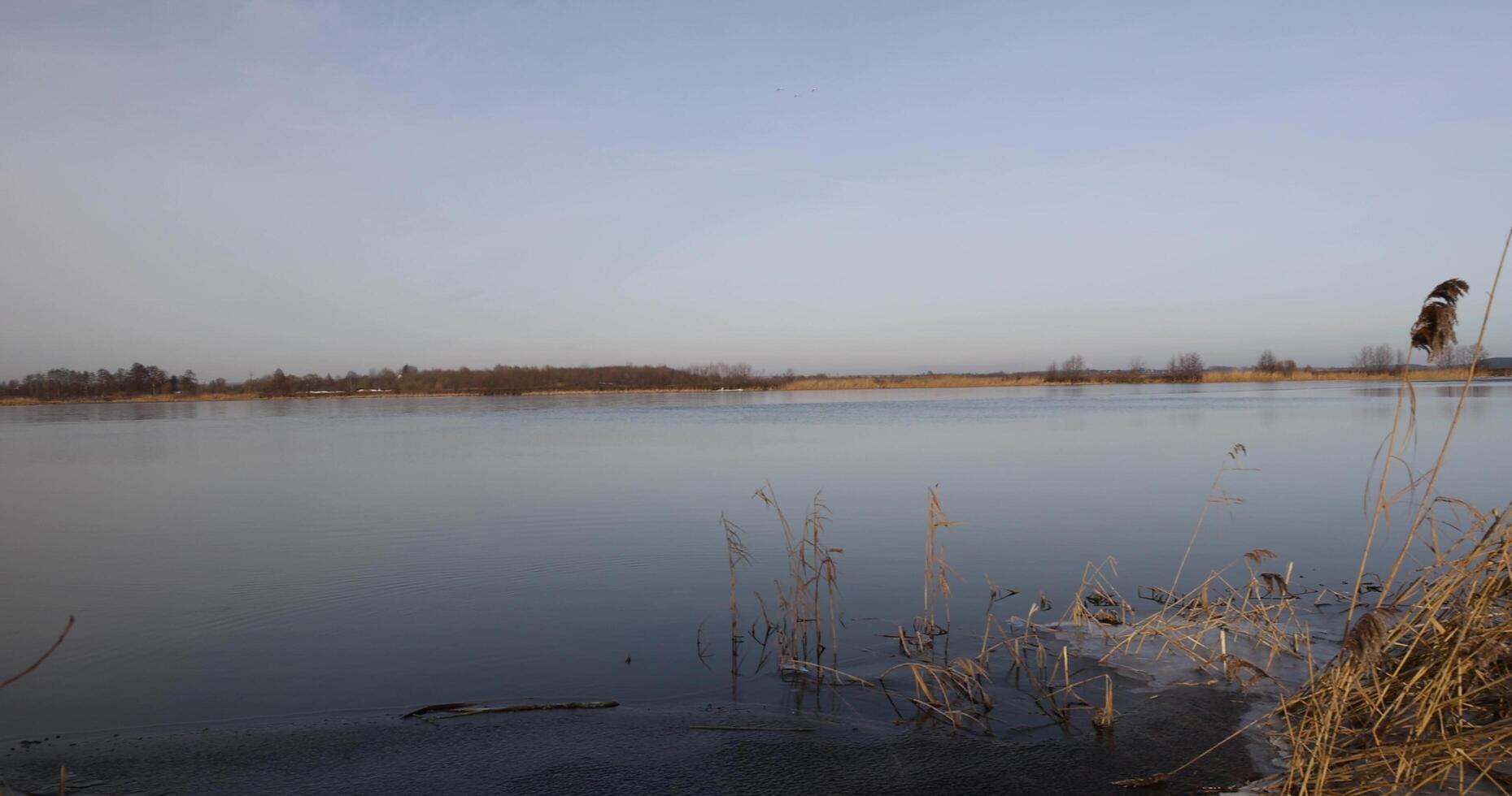 dark muddy lake water in winter without snow photo