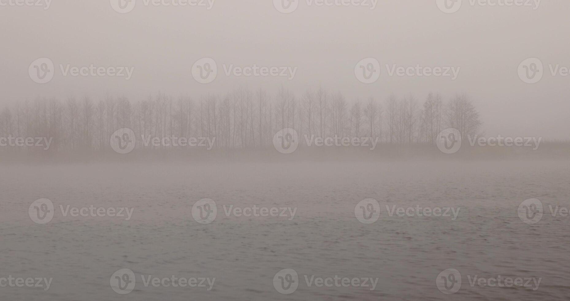 beautiful nature during fog with very poor visibility on the river photo