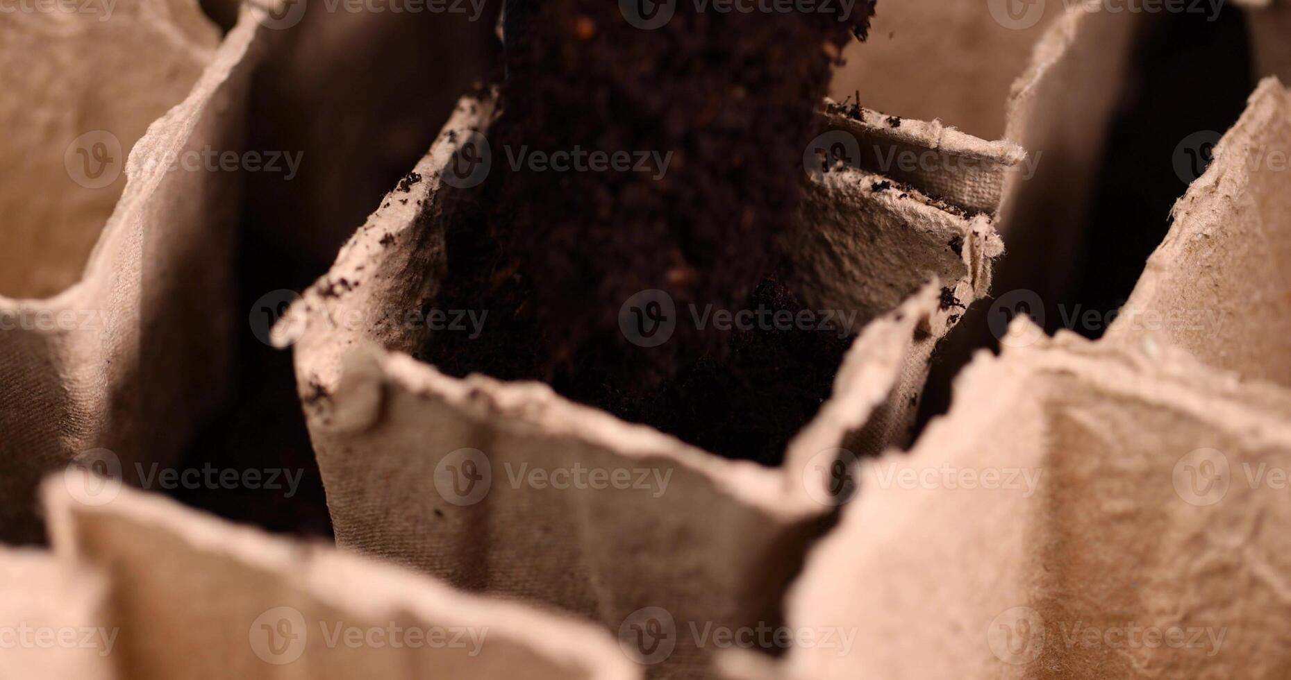 square containers for seedlings in agriculture photo