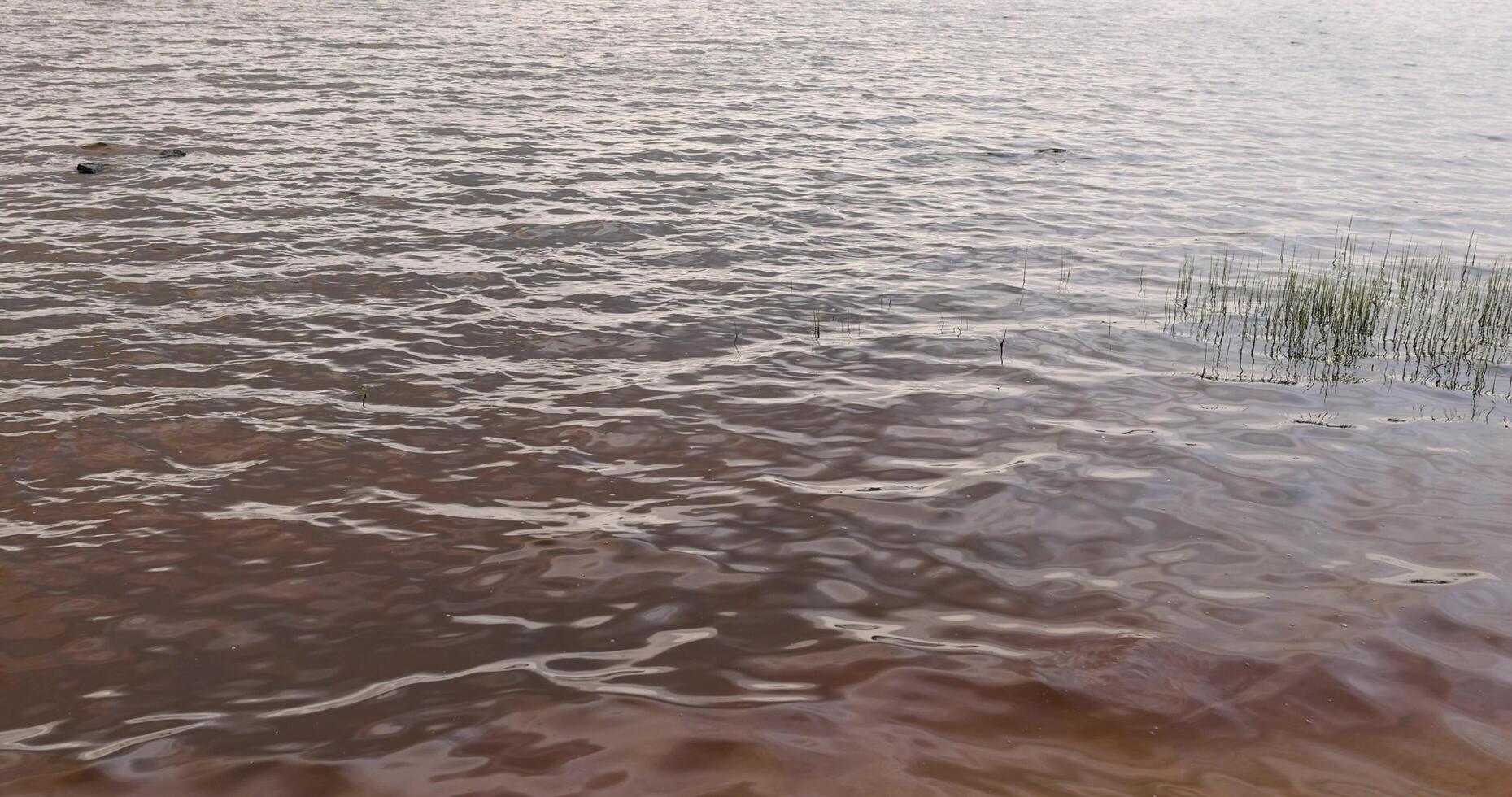 waves on the surface of the river in cloudy spring weather photo