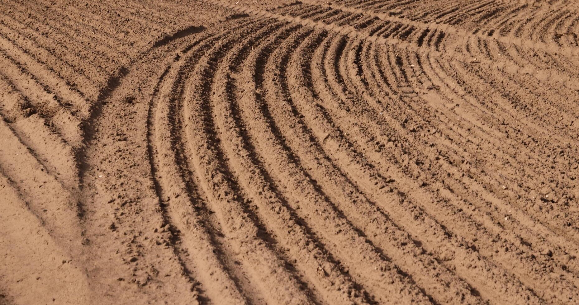 a plowed field in spring for planting a new crop, photo