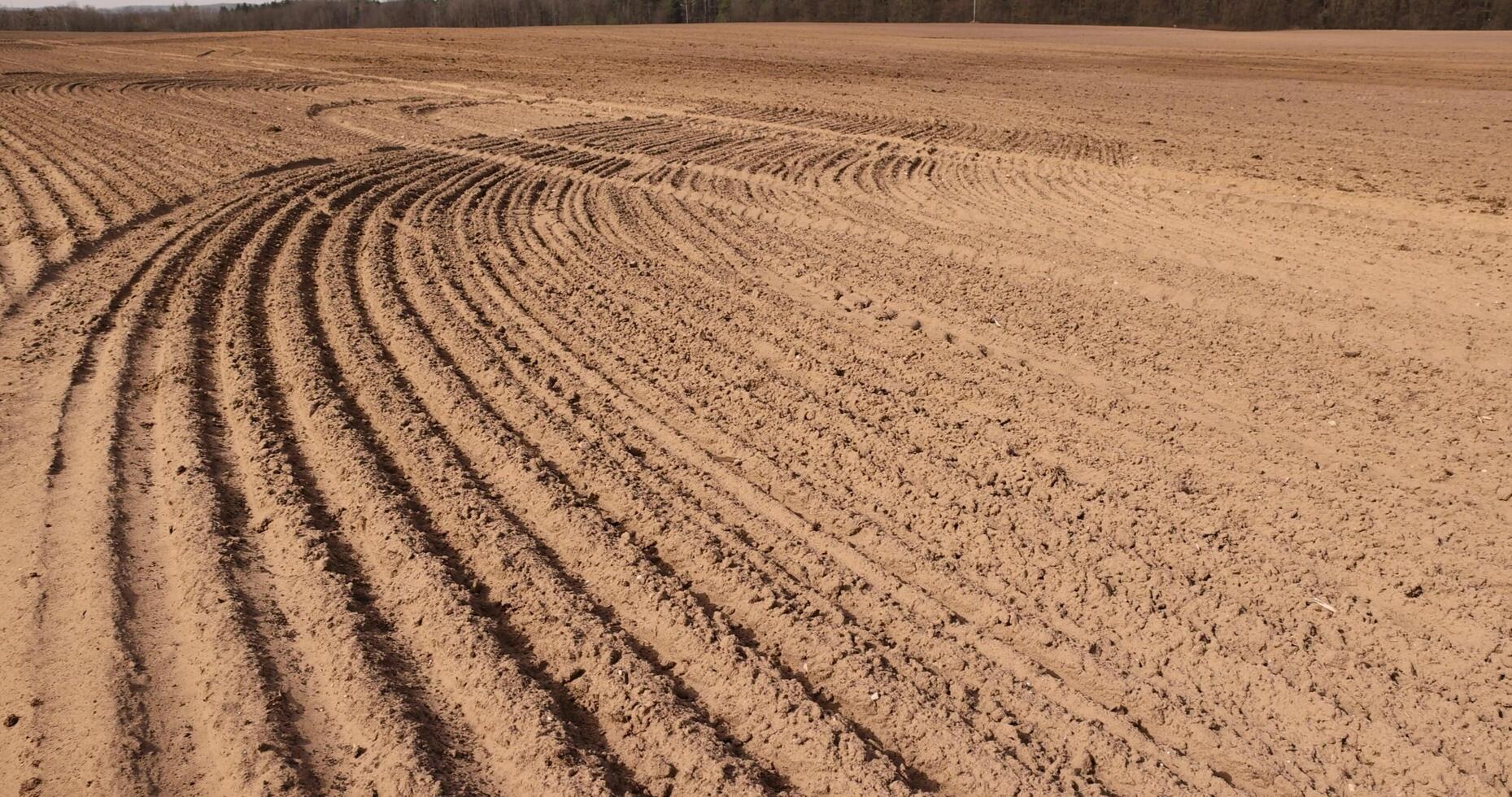 a plowed field in spring for planting a new crop, photo