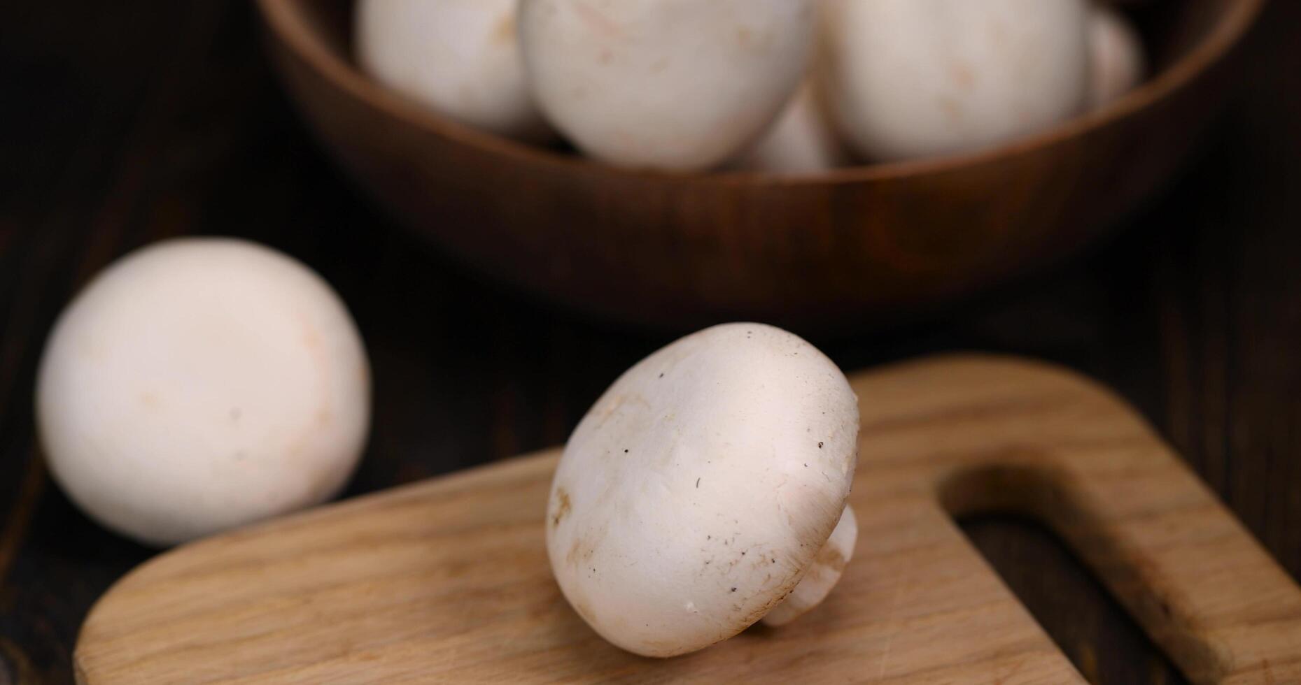 fresh, not cooked mushrooms, close up photo