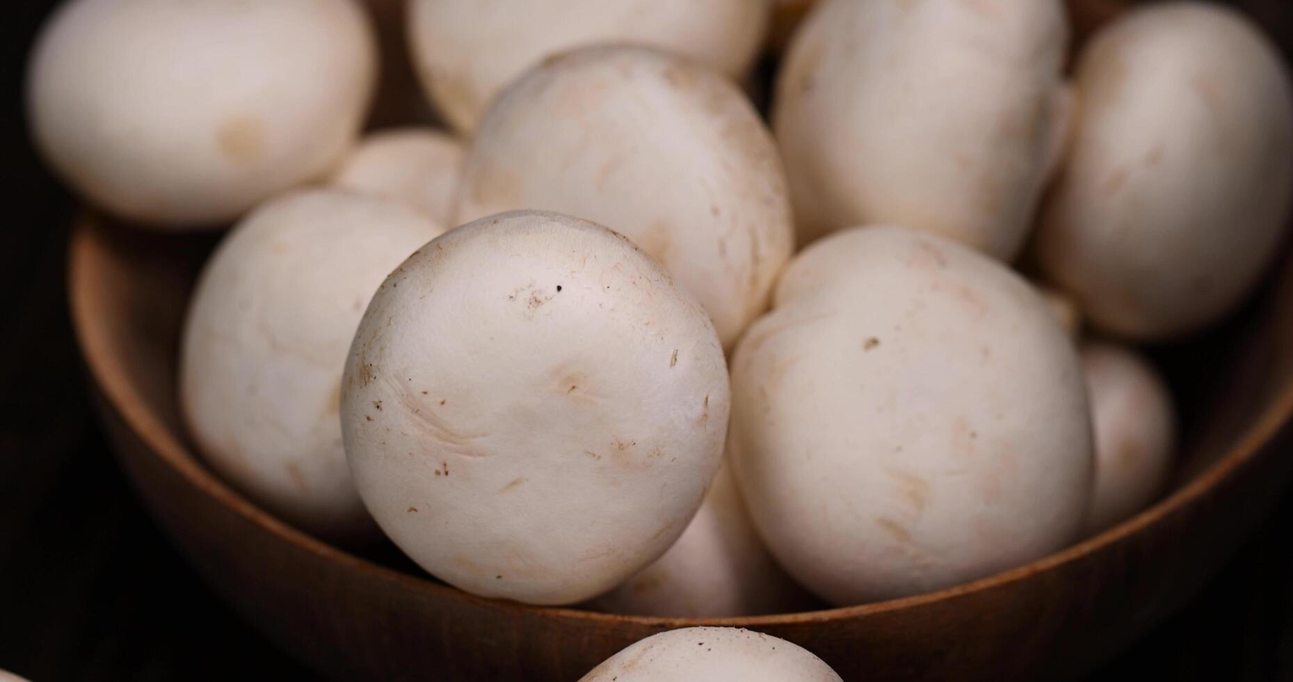 fresh, not cooked mushrooms, close up photo