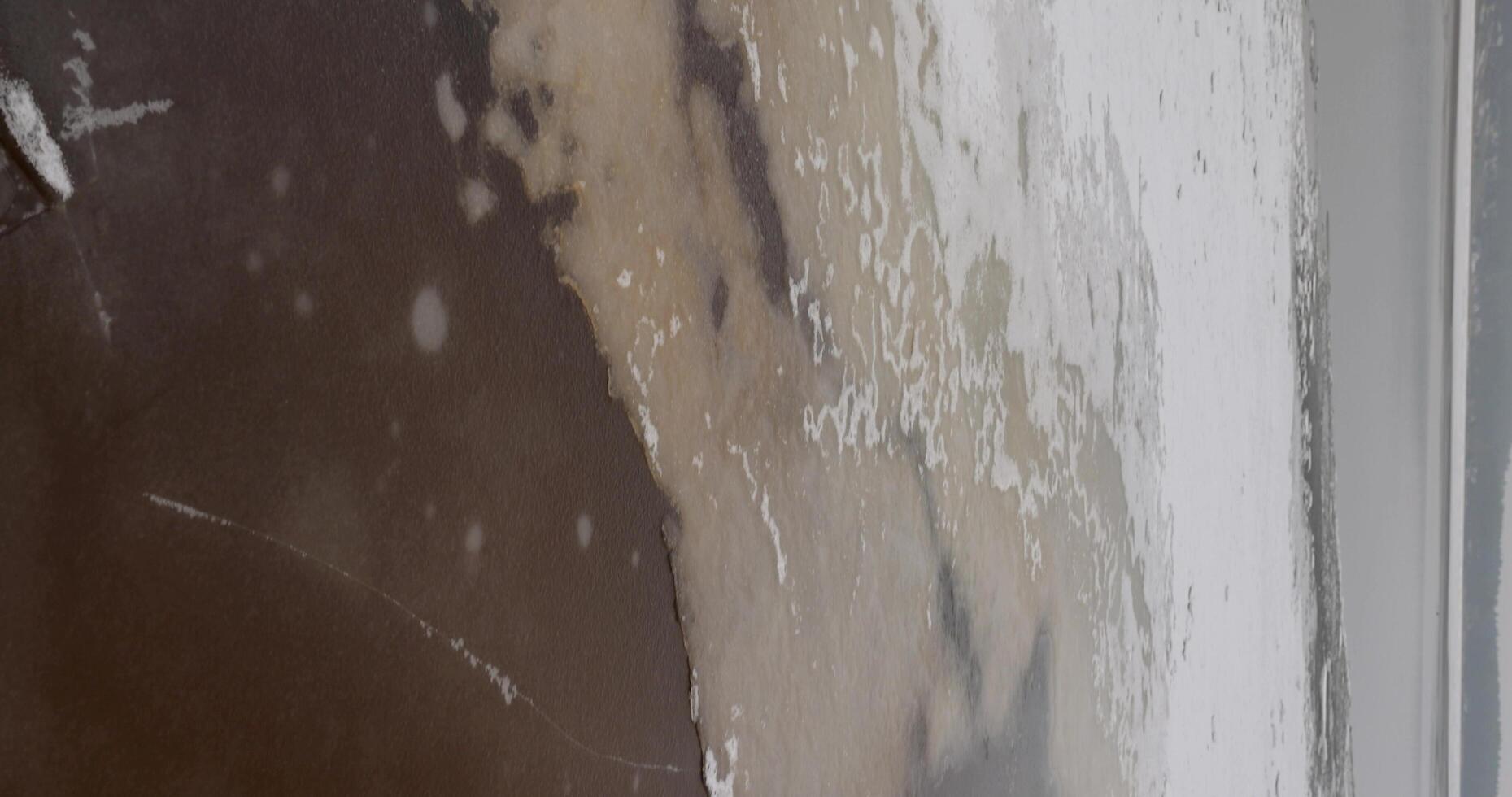 ice on the lake during frosts photo