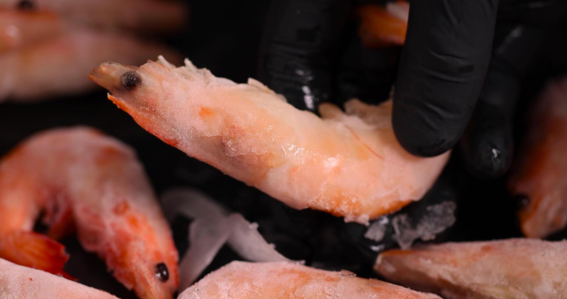 frozen boiled shrimps on a blackboard photo