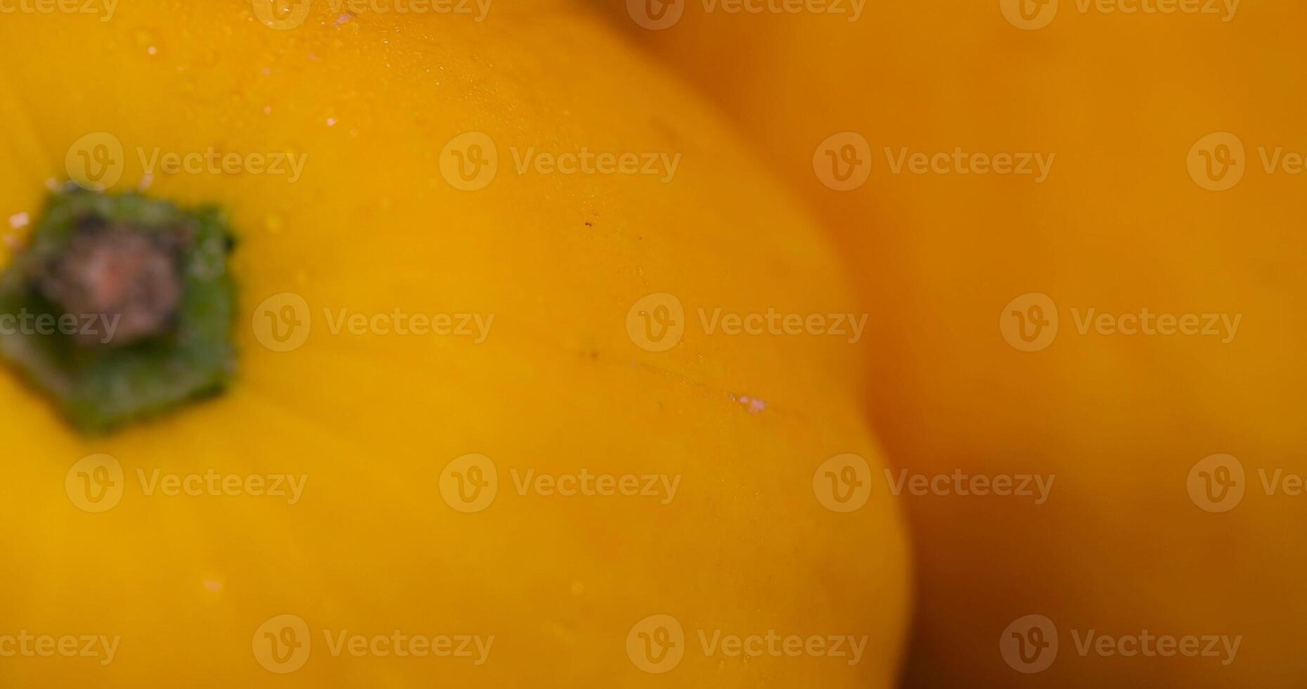 small delicious ripe yellow squash photo