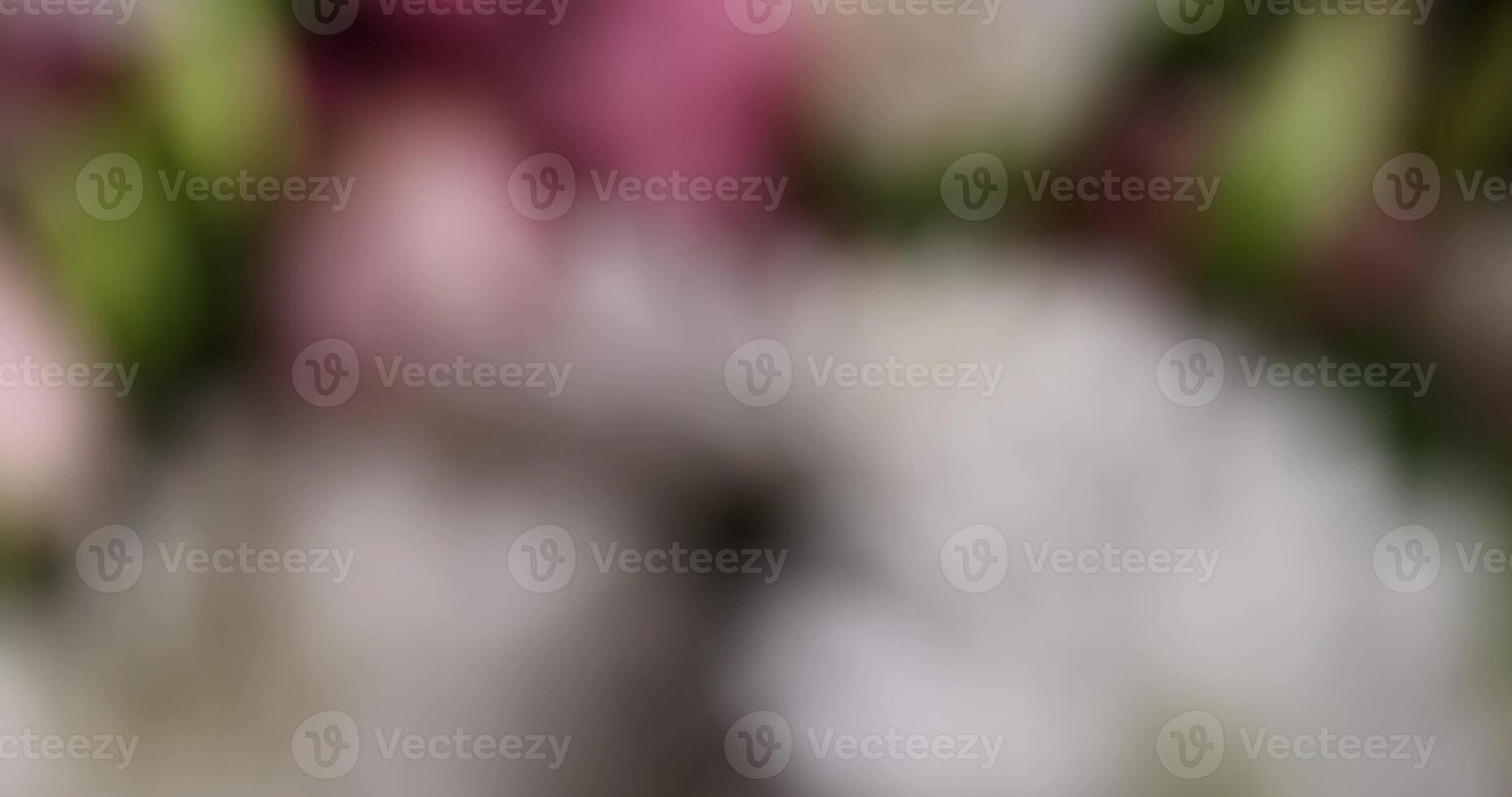 a bouquet of flowers of different colors in close-up photo