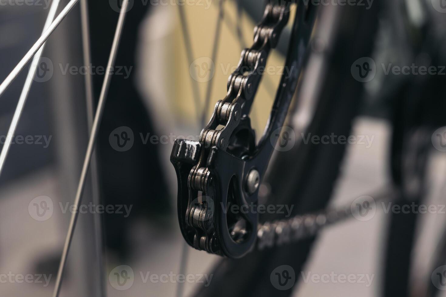 bike rear derailleur and chain detail photo