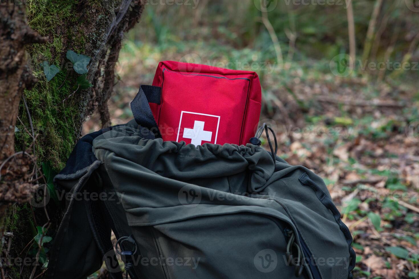 Wilderness Readiness Survival Gear in the Forest photo