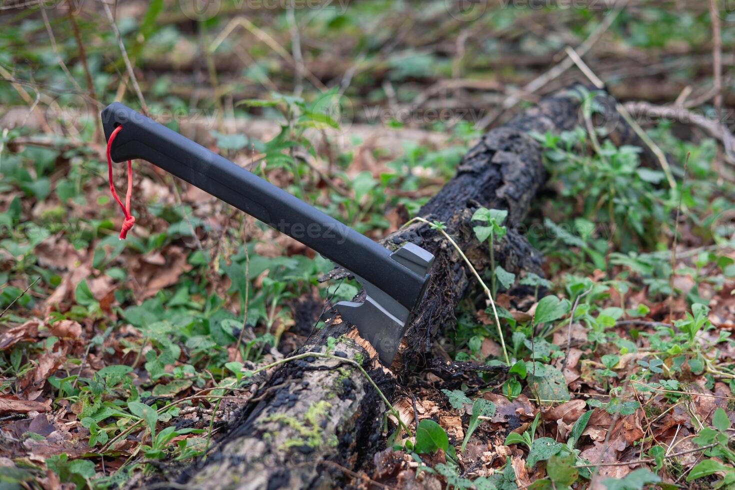 Essential Tool Bushcraft Axe in the Forest photo