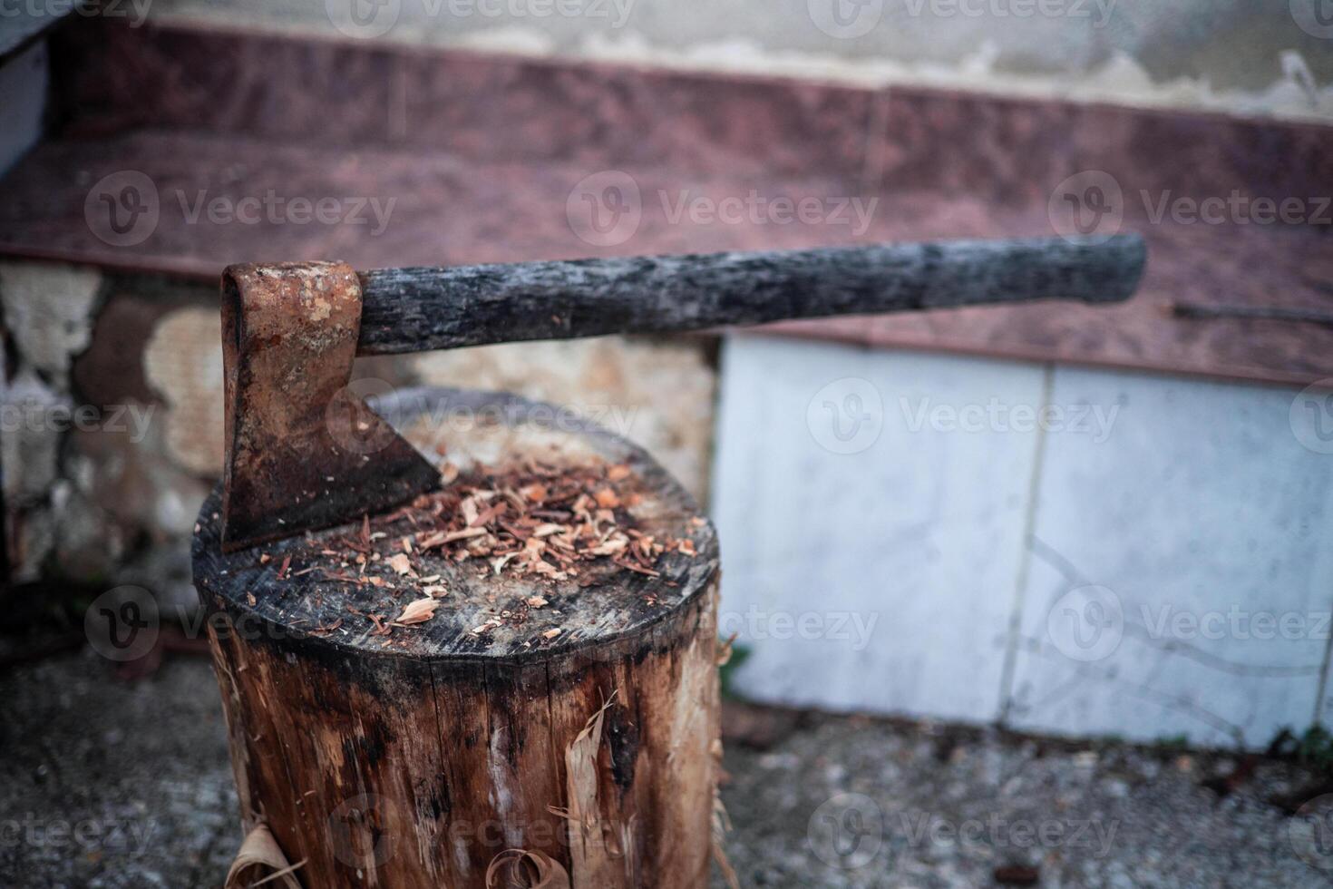 Old and Rusty Axe Embedded in Tree Trunk photo